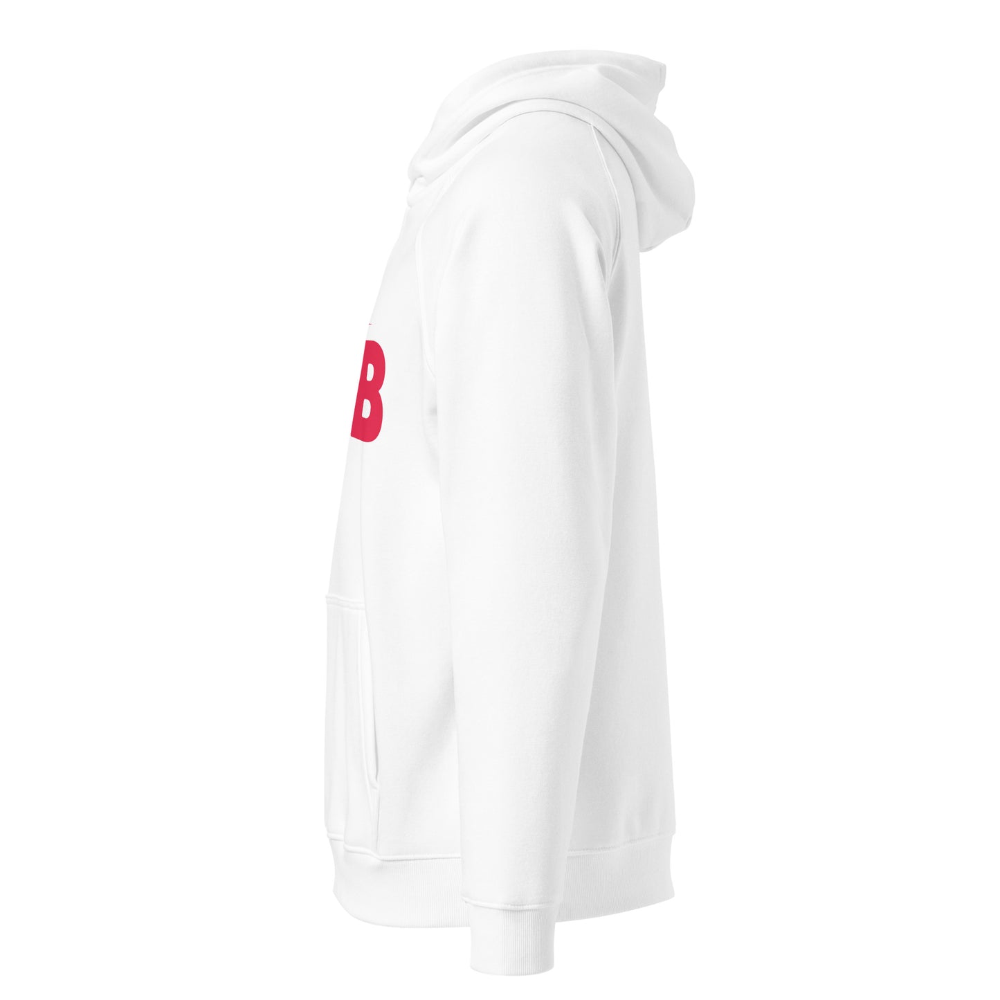 The Hub Unisex Eco Raglan Hoodie